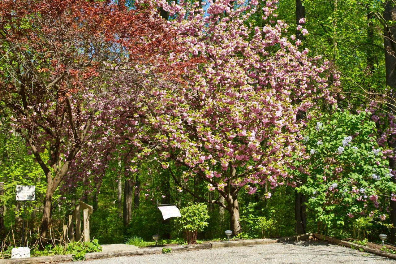 Pilgrim'S Rest Bed And Breakfast Philadelphia Exterior photo